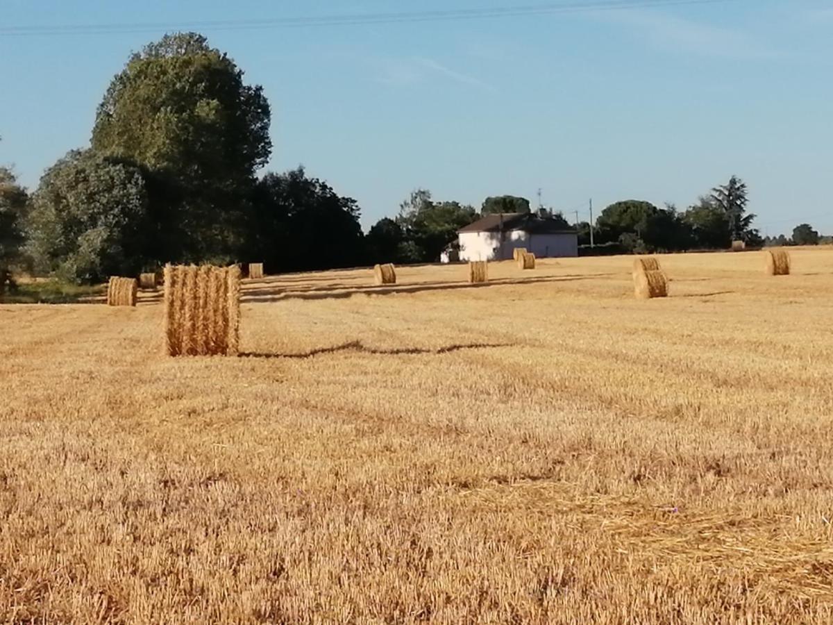 La Case A Jane, Gite Familial En Pays Tarnais Coufouleux 外观 照片